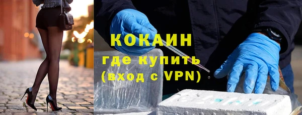 метадон Богданович