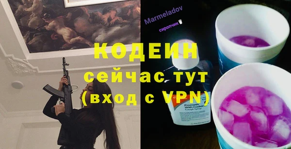 метадон Богданович