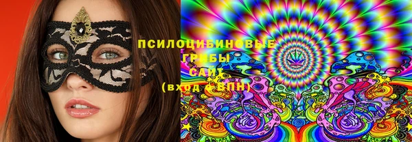 меф Богородицк