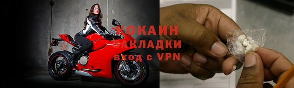 шишки Богородск