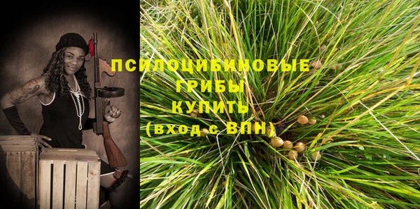дживик Беломорск