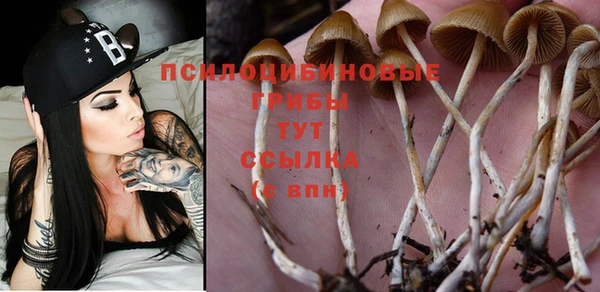 спайс Бутурлиновка