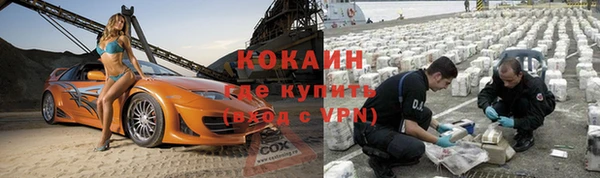 метадон Богданович