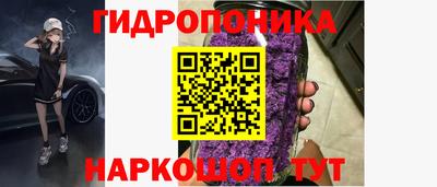 индика Нарткала
