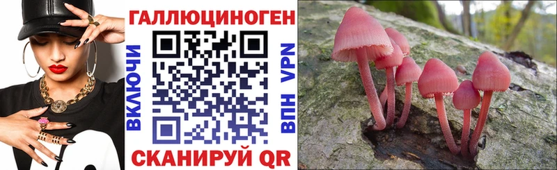 Псилоцибиновые грибы Magic Shrooms  маркетплейс как зайти  Дальнегорск  хочу  