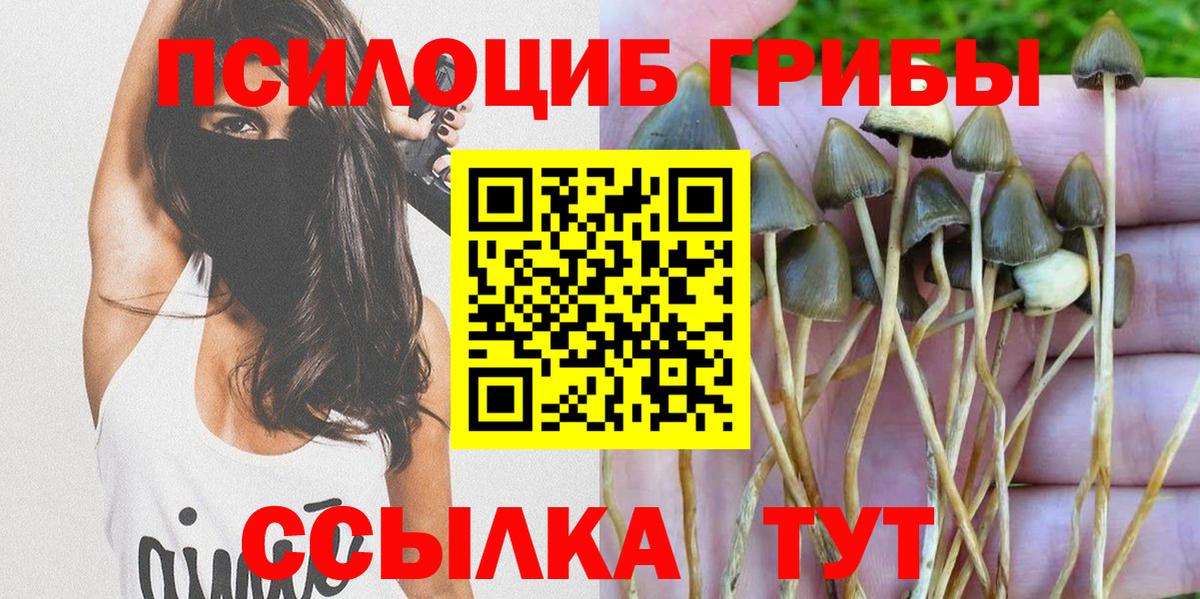 Псилоцибиновые грибы ЛСД Дальнегорск