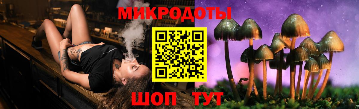 Дальнегорск  Галлюциногенные грибы мицелий  Вход с VPN 